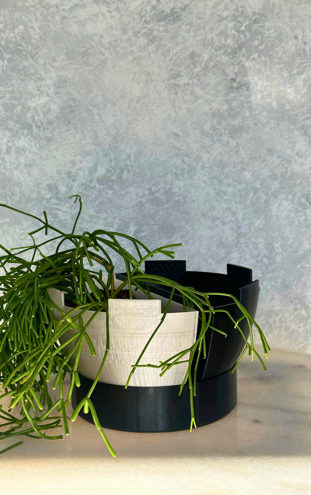 Watering Tray - Gecko Planters®