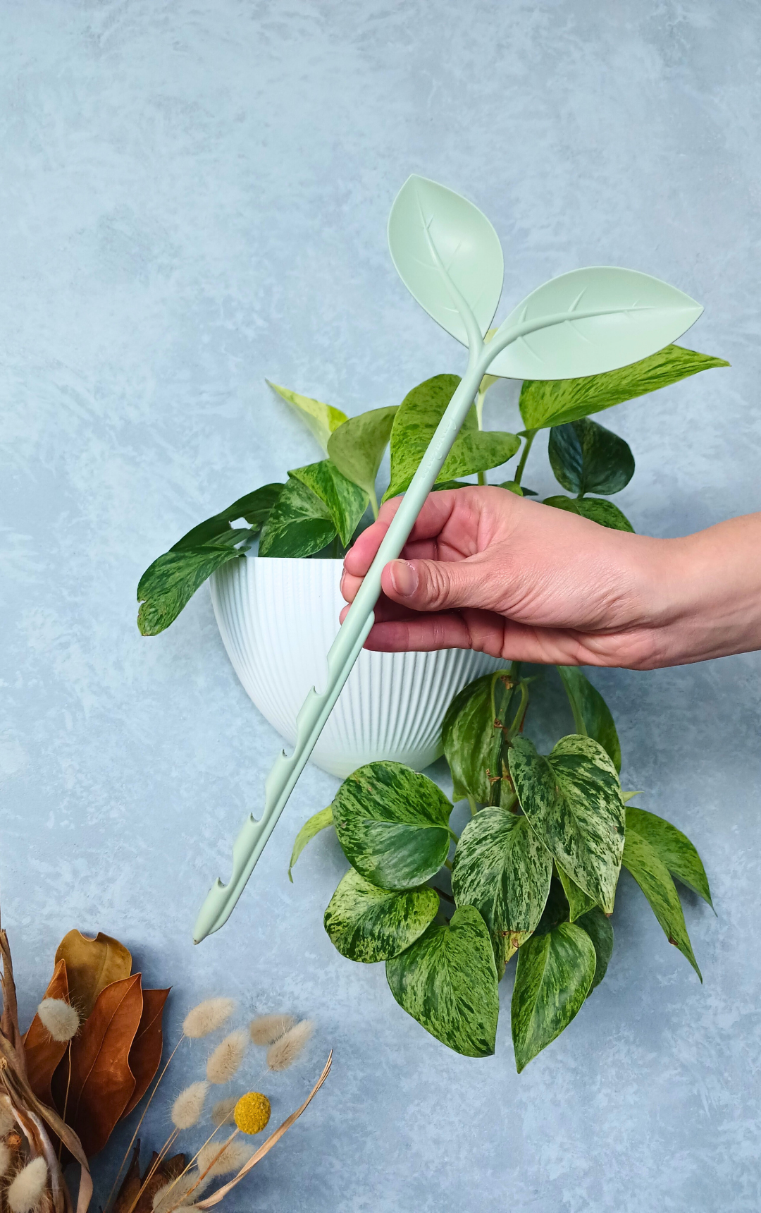 Holding a Grow Probe moisture meter.