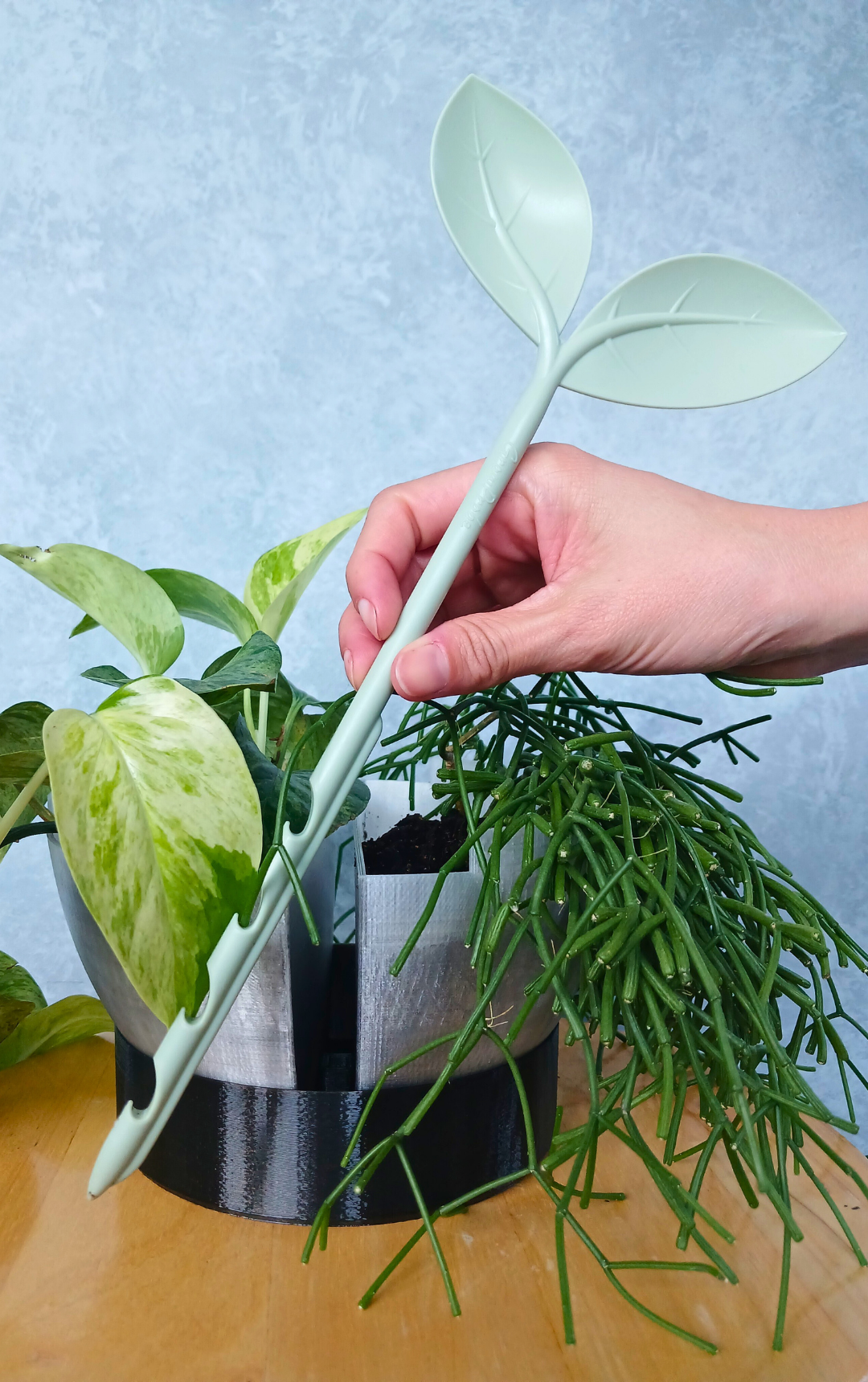 Grow Probe soil moisture meter in front of Gecko Planter watering tray.