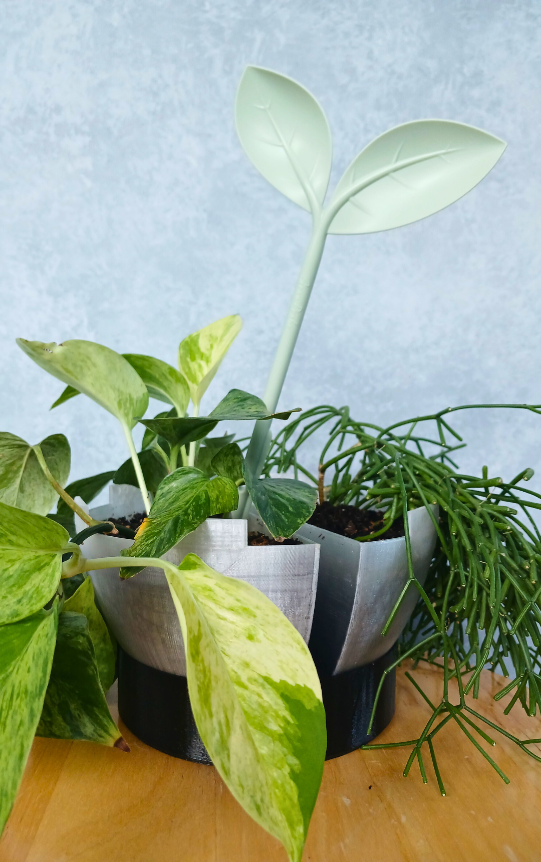 A Grow Probe soil moisture meter inserted into the soil of a Gecko Planter pot.