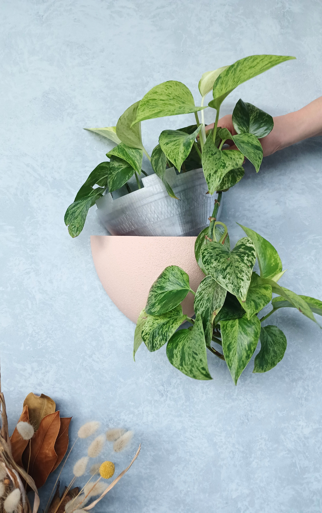 Classic Blossom Gecko Planter with removable liner, a renter-friendly indoor plant pot for small spaces.