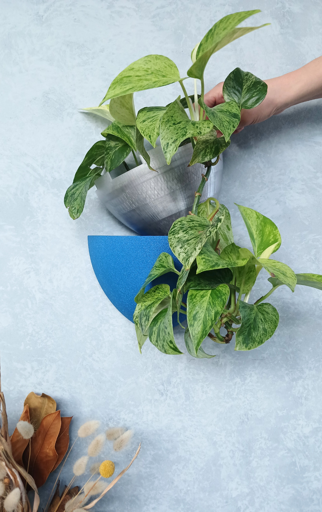 Classic Cobalt Gecko Planter with removable liner, a versatile indoor plant pot for creative spaces.