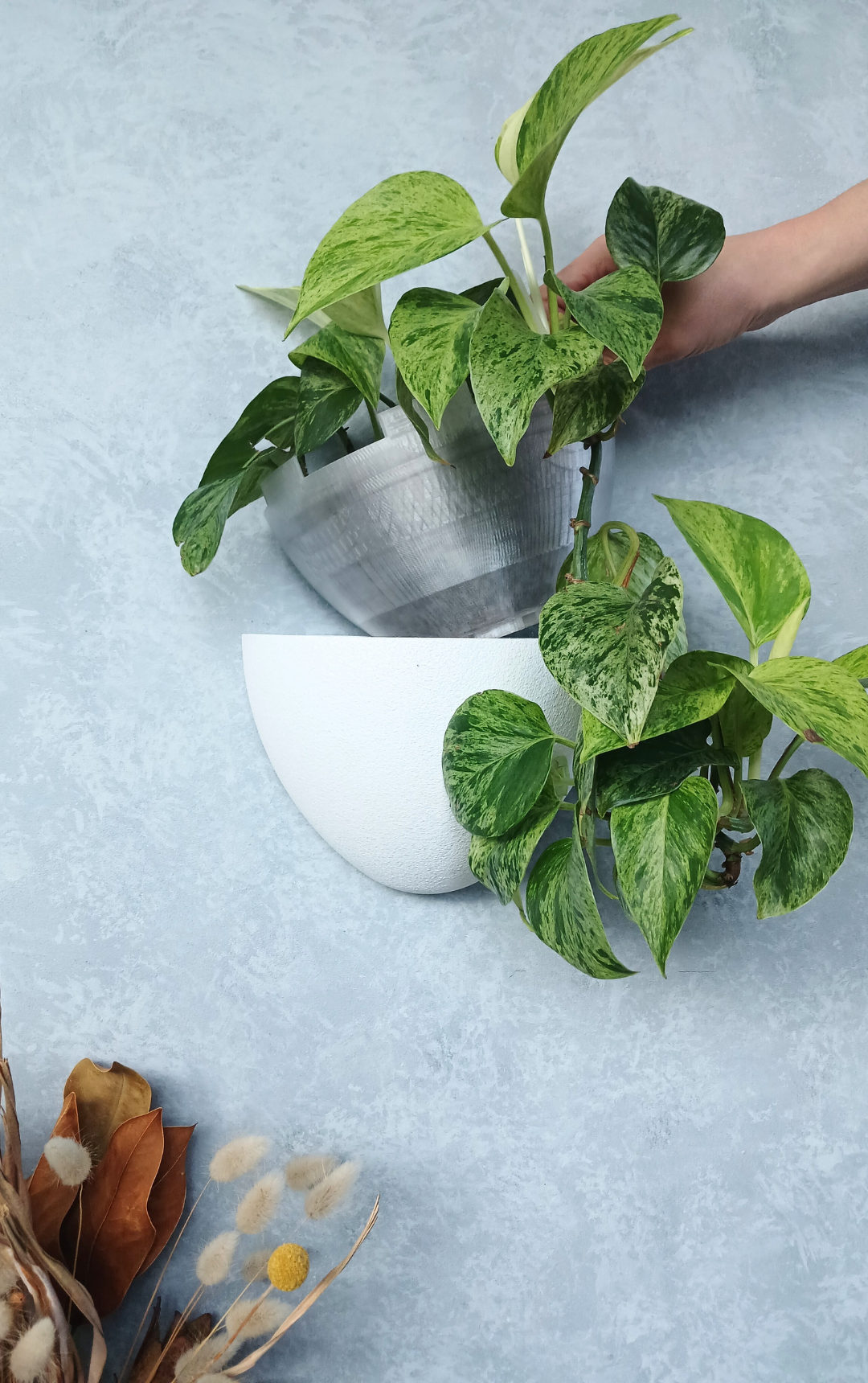 Classic White Gecko Planter with removable liner, a renter-friendly plant pot planter.