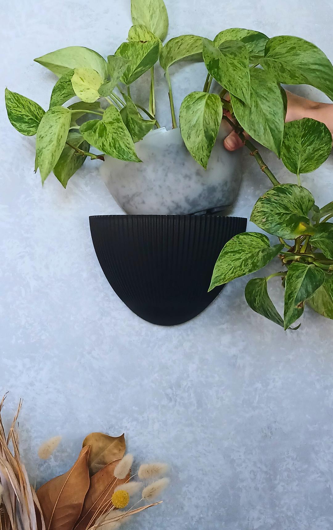 indoor planter nz Flute