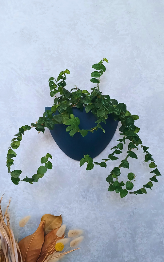 Classic - Gecko Planter®