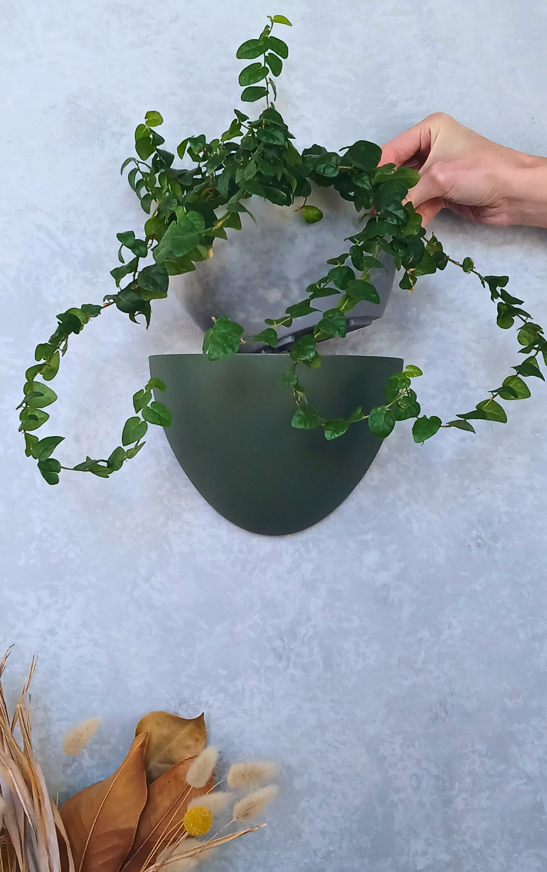 Classic - Gecko Planter®