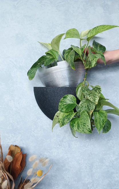 Classic Black Gecko Planter showing the removable liner,  perfect for home décor.