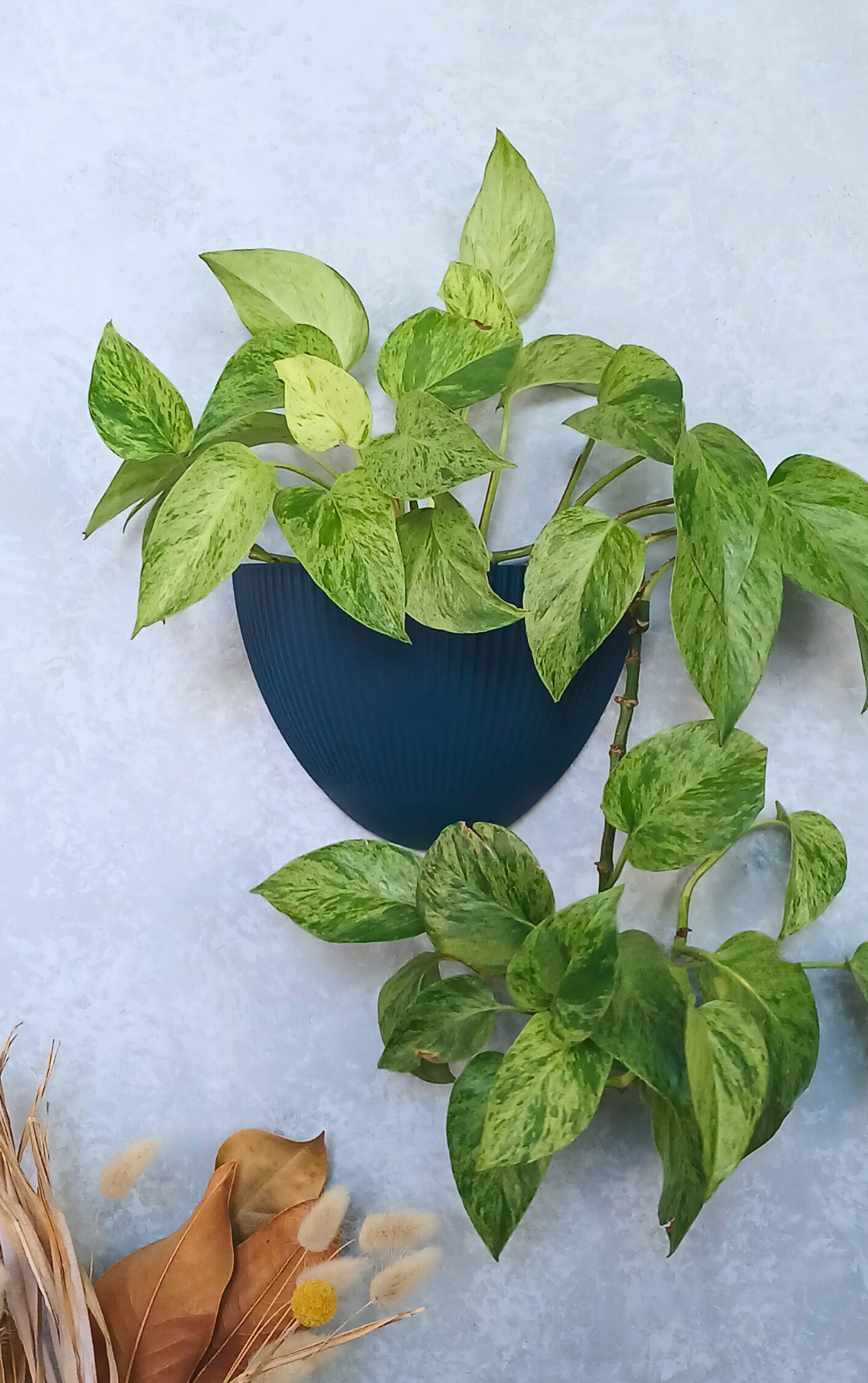 Flute - Gecko Planter®
