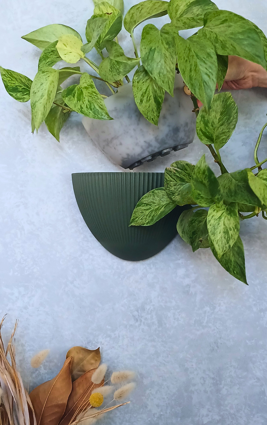 Flute - Gecko Planter®