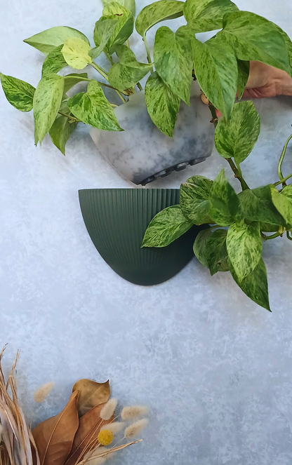 Flute - Gecko Planter®