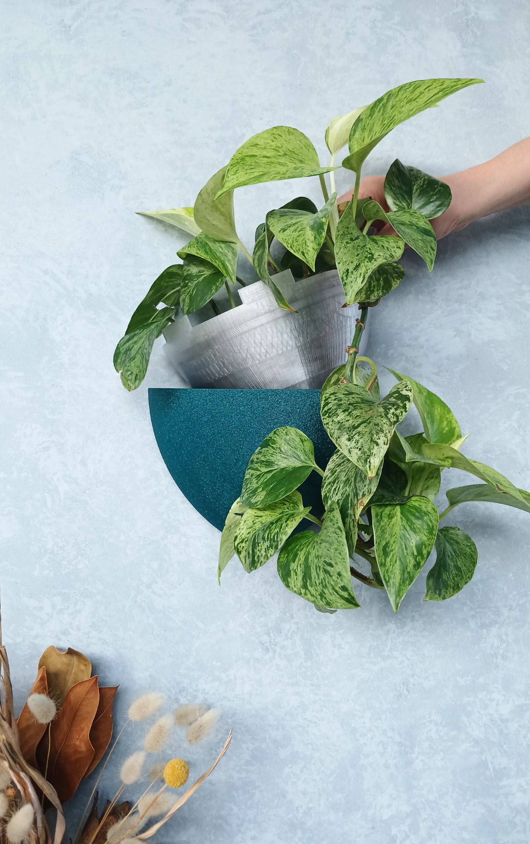 Classic Dark Forest Green Gecko Planter with removable liner, an ideal pot for indoor plants.
